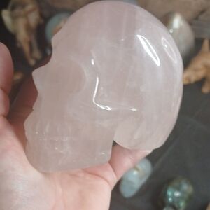Rose Quartz Crystal Skull Decor